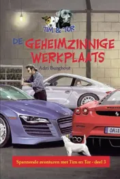 Omslag van De geheimzinnige werkplaats