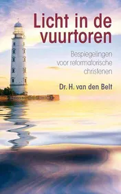 Omslag van Licht in de vuurtoren