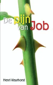 Omslag van De pijn van Job