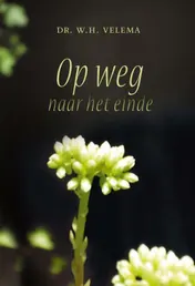 Omslag van Op weg naar het einde