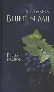 Omslag van Blijft in mij