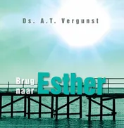 Omslag van Brug naar Esther
