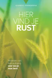 Omslag van Hier vind je rust