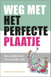 Omslag van Weg met het perfecte plaatje