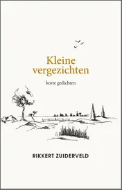 Omslag van Kleine vergezichten