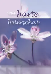 Omslag van Van harte beterschap set 6 ex