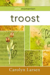 Omslag van Troost