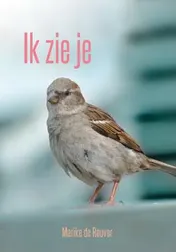 Omslag van Ik zie je