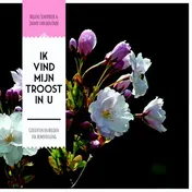 Omslag van Ik vind mijn troost in u