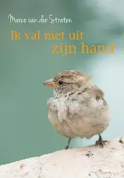 Omslag van Ik val niet uit zijn hand