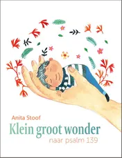 Omslag van Klein groot wonder