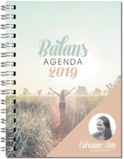 Omslag van 2019