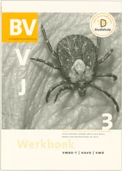 Omslag van Werkboek