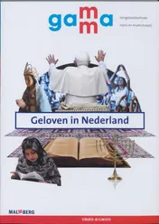 Omslag van Geloven in Nederland