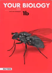 Omslag van Antwoordenboek