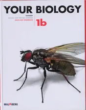 Omslag van 1b havo/vwo onderbouw