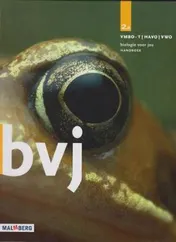 Omslag van handboek deel 2a