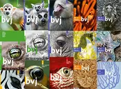 Omslag van werkboek deel 2b