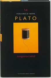Omslag van Jongenswerk