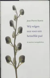 Omslag van Wij volgen een voor een hetzelfde pad