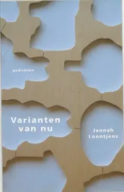 Omslag van Varianten van nu
