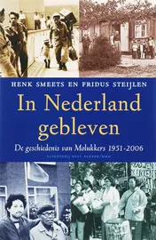 Omslag van In Nederland gebleven