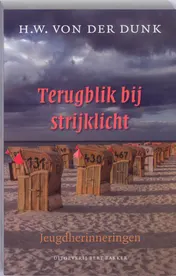 Omslag van Terugblik bij strijklicht