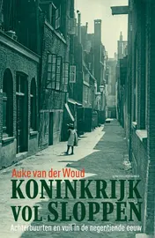 Omslag van Koninkrijk vol sloppen