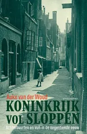 Omslag van Koninkrijk vol sloppen