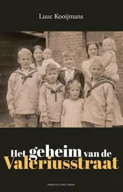 Omslag van Het geheim van de Valeriusstraat