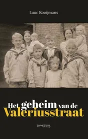 Omslag van Het geheim van de Valeriusstraat
