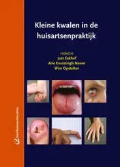 Omslag van Kleine kwalen in de huisartsenpraktijk