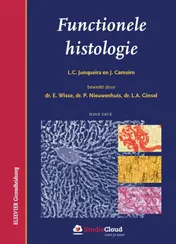 Omslag van Functionele histologie