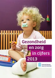 Omslag van 2013