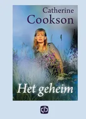 Omslag van Het geheim