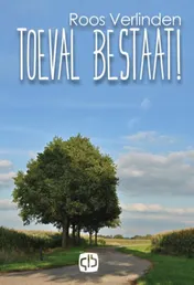 Omslag van Toeval bestaat!