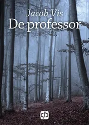 Omslag van De professor