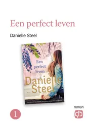 Omslag van Een perfect leven