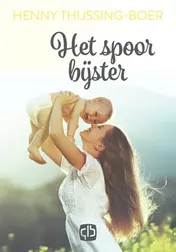 Omslag van Het spoor bijster