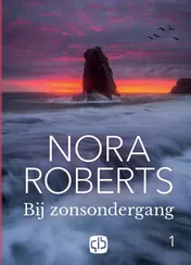 Omslag van Bij zonsondergang (in 2 banden)