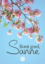 Omslag van Komt goed, Sanne