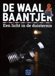 Omslag van Een licht in de duisternis