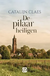 Omslag van De pilaarheiligen