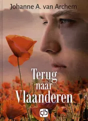 Omslag van Terug naar Vlaanderen