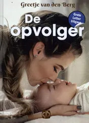 Omslag van De opvolger