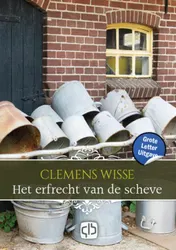 Omslag van Het erfrecht van de scheve