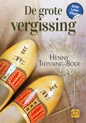Omslag van De grote vergissing