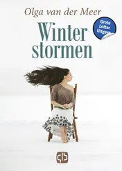 Omslag van Winterstormen