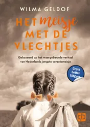 Omslag van Het meisje met de vlechtjes