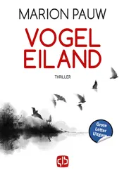 Omslag van Vogeleiland - Grote Letter Uitgave